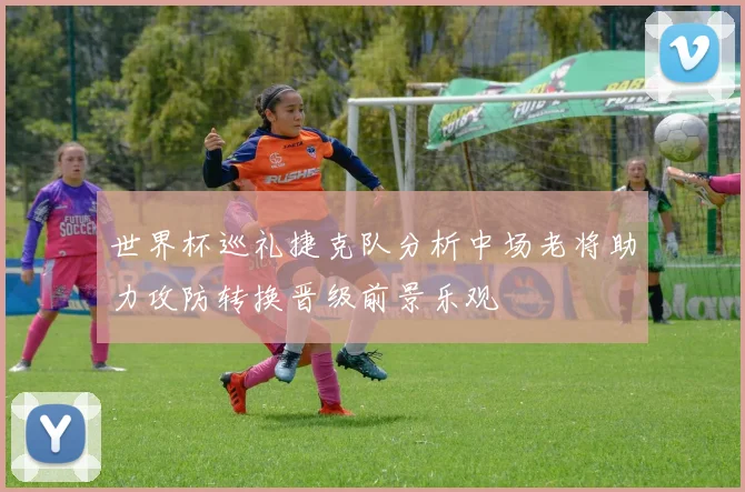 世界杯巡礼捷克队分析中场老将助力攻防转换晋级前景乐观