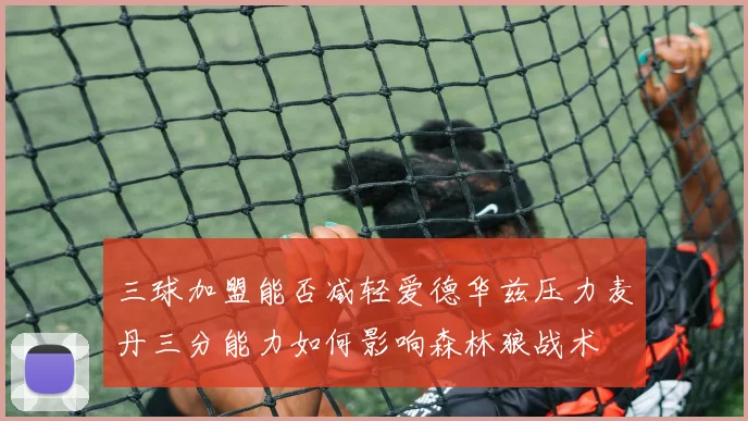 三球加盟能否减轻爱德华兹压力麦丹三分能力如何影响森林狼战术
